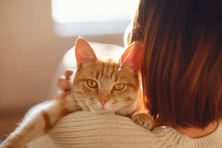 Soul Connections with Pets: Exploring Deeper Bonds