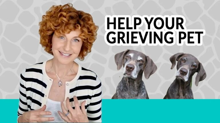 Canine Grieving: Supporting Your Pet Through Loss of Their Owner