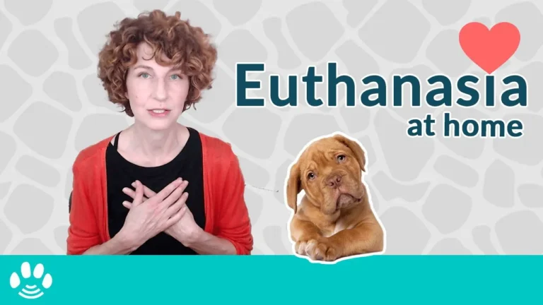 Home Pet Euthanasia